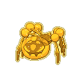 Golden Araquanid